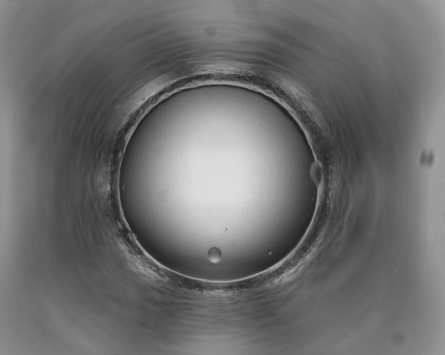 X0000090461017200707201330