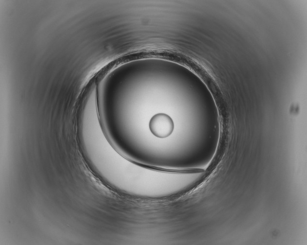 X0000090461018200707201330
