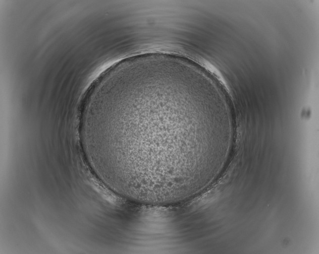 X0000090461019200707201330