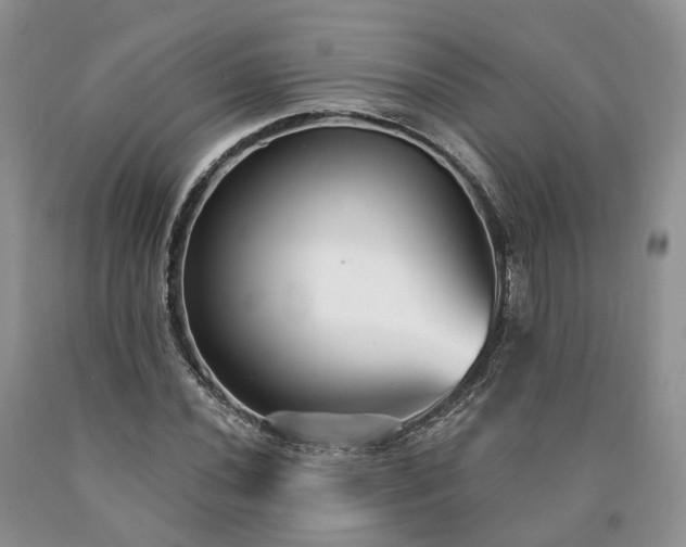 X0000090461020200707201330