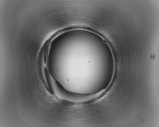 X0000090461022200707201330
