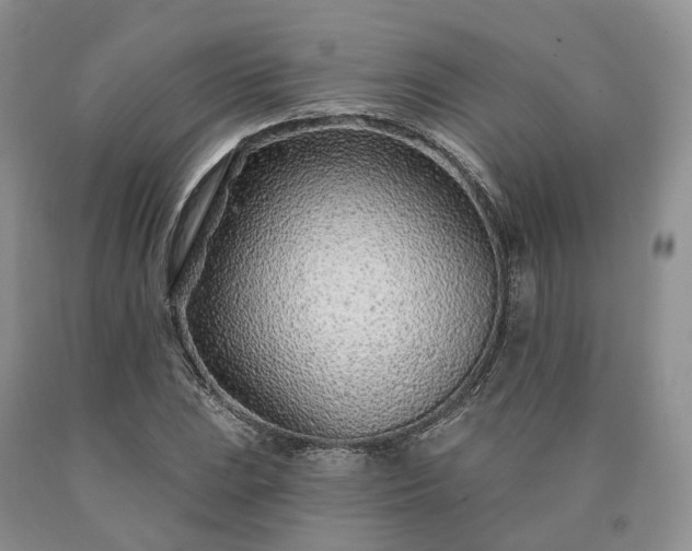 X0000090461023200707201330