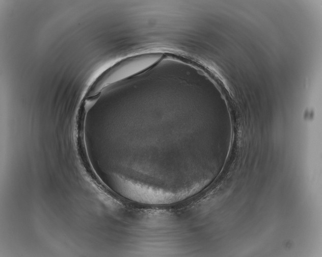 X0000090461024200707201330