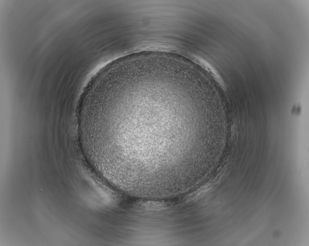 X0000090461027200707201330