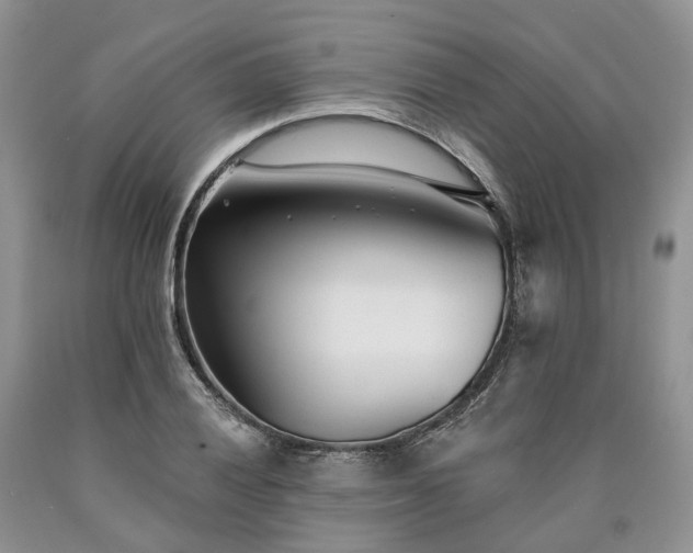 X0000090461028200707201330