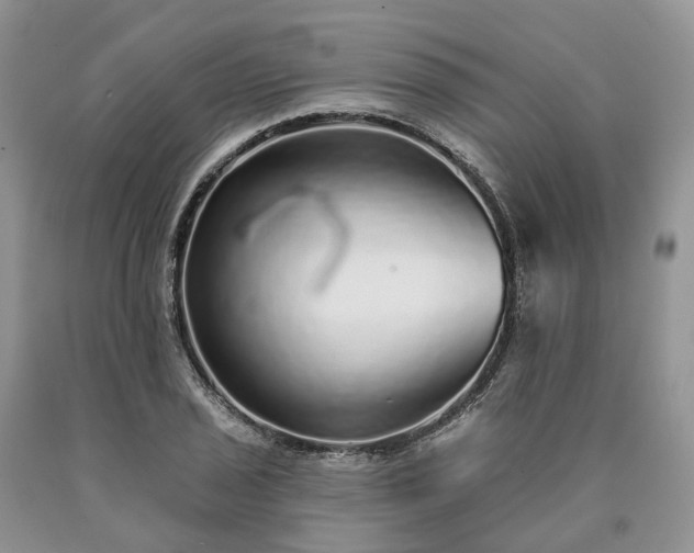 X0000090461029200707201330