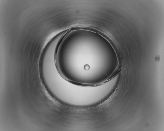 X0000090461030200707201330