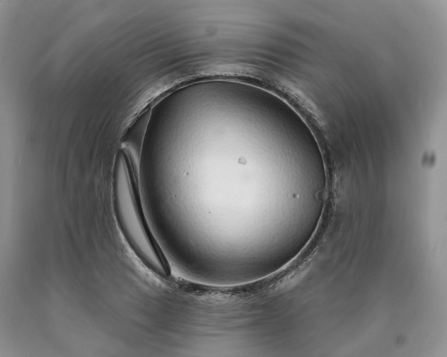 X0000090461033200707201330