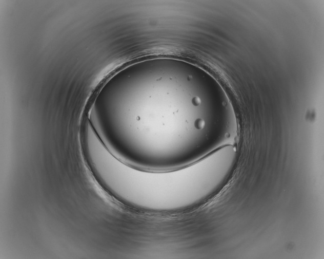 X0000090461034200707201330