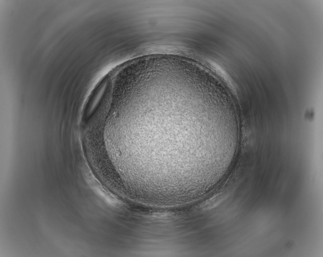 X0000090461035200707201330