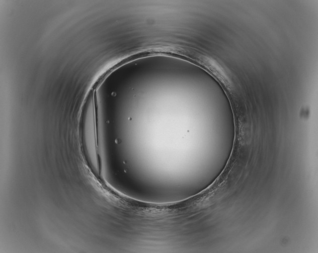 X0000090461036200707201330