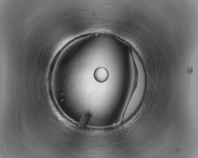 X0000090461038200707201330