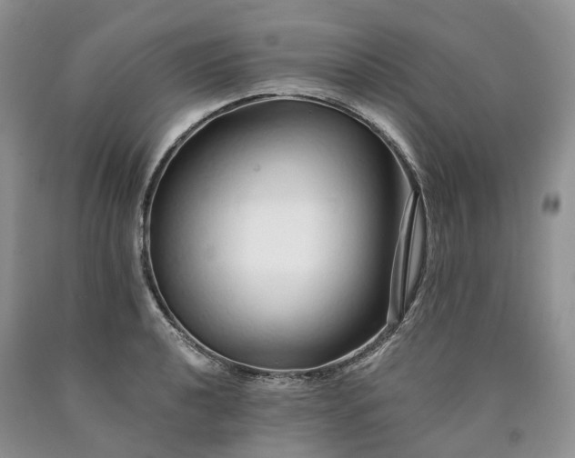 X0000090461040200707201330