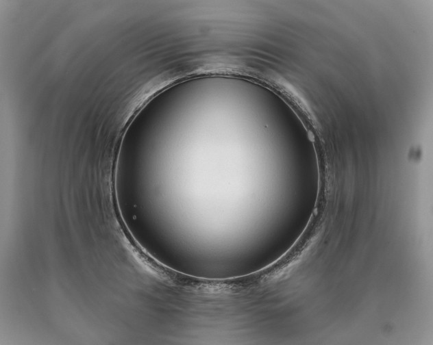 X0000090461041200707201330
