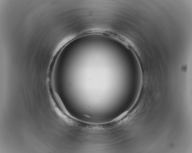 X0000090461042200707201330