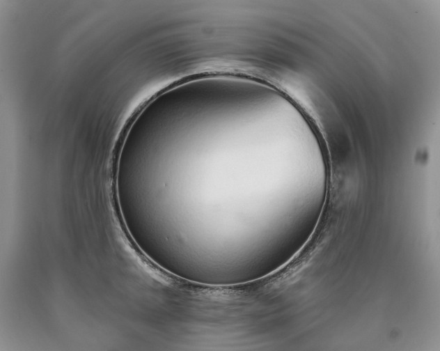 X0000090461045200707201330