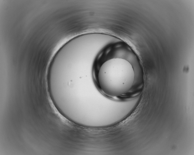 X0000090461046200707201330