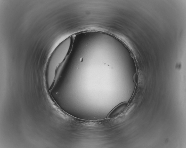X0000090461048200707201330