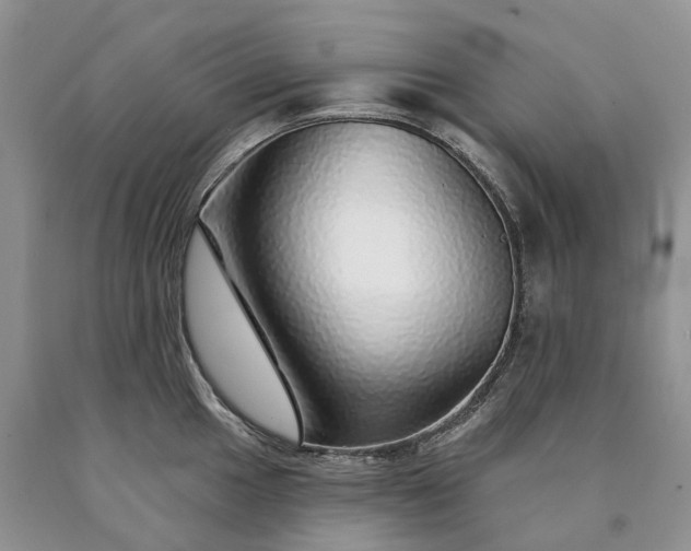 X0000090461049200707201330
