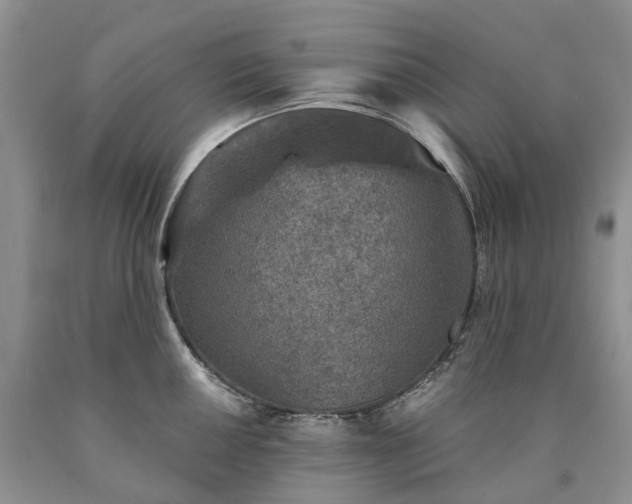X0000090461050200707201330