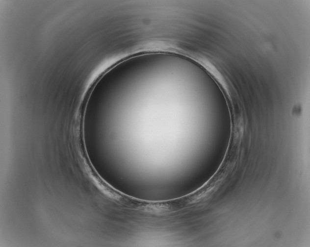 X0000090461053200707201330