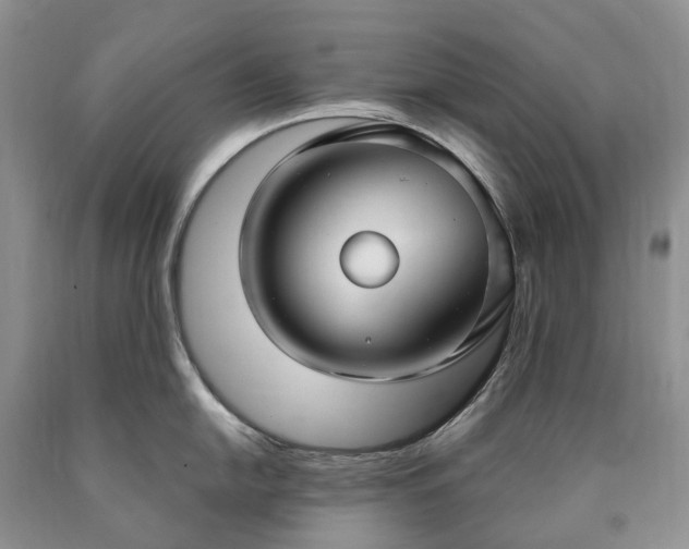 X0000090461054200707201330