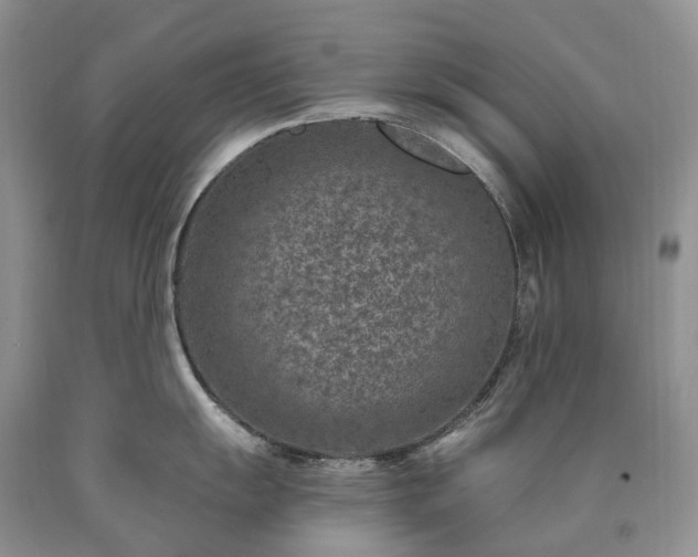 X0000090461055200707201330