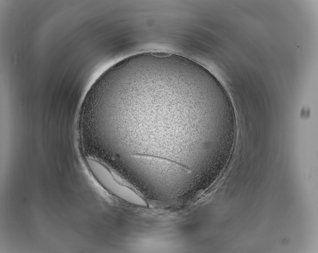 X0000090461056200707201330