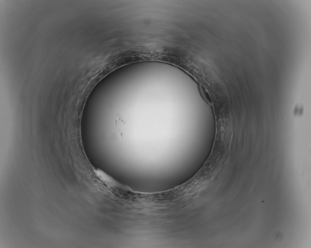 X0000090461057200707201330