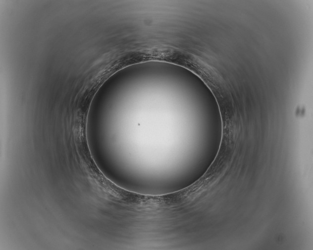 X0000090461058200707201330