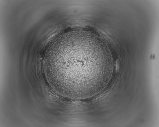 X0000090461059200707201330