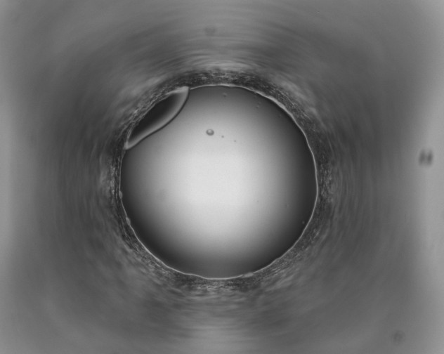 X0000090461061200707201330