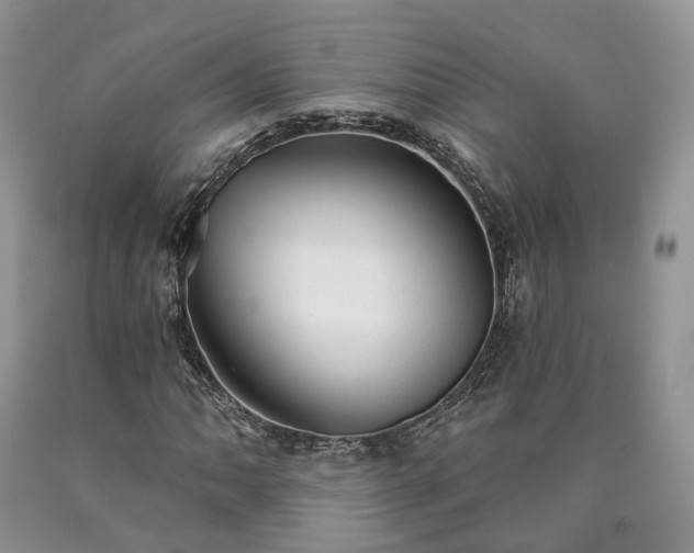 X0000090461062200707201330
