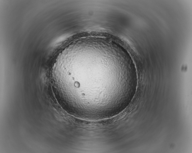 X0000090461063200707201330