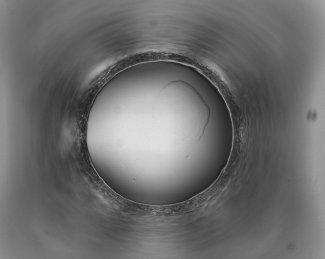 X0000090461064200707201329