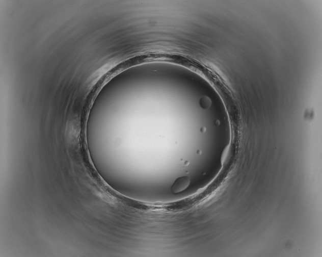 X0000090461065200707201329