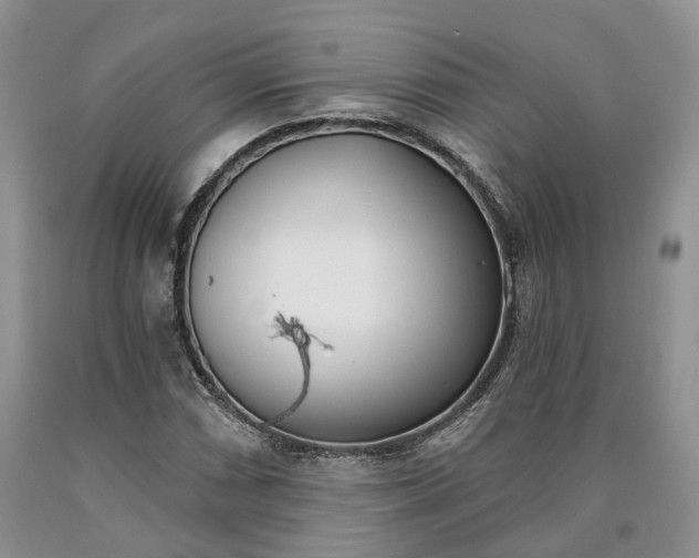 X0000090461066200707201329
