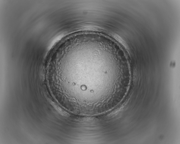 X0000090461067200707201329