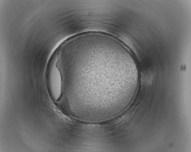 X0000090461068200707201329