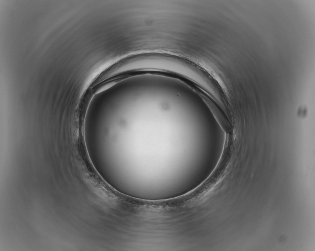 X0000090461069200707201329