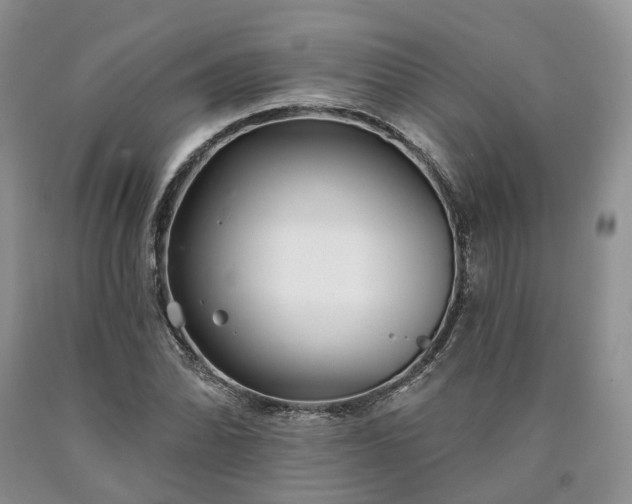 X0000090461070200707201329