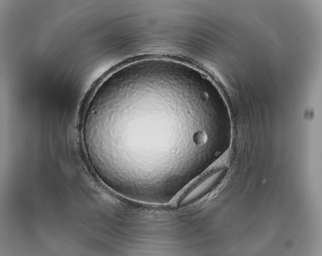 X0000090461071200707201329