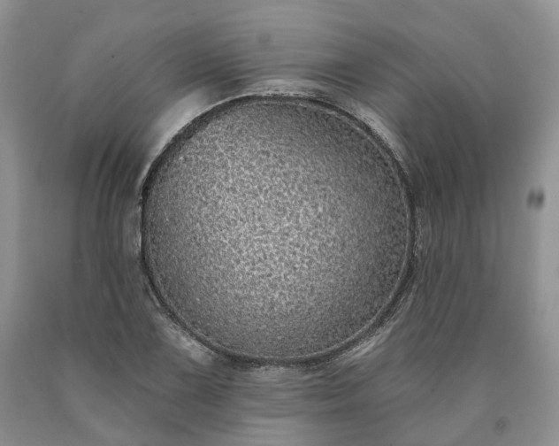 X0000090461075200707201329