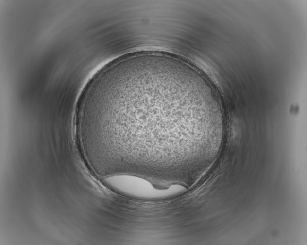 X0000090461076200707201329