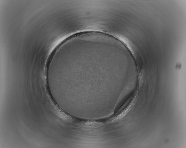 X0000090461077200707201329