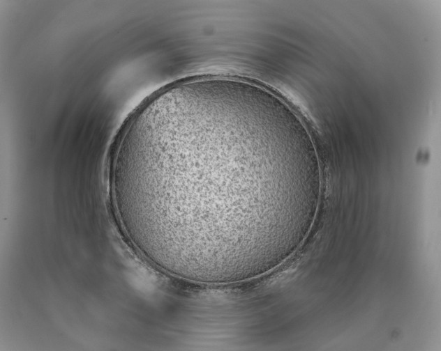 X0000090461078200707201329