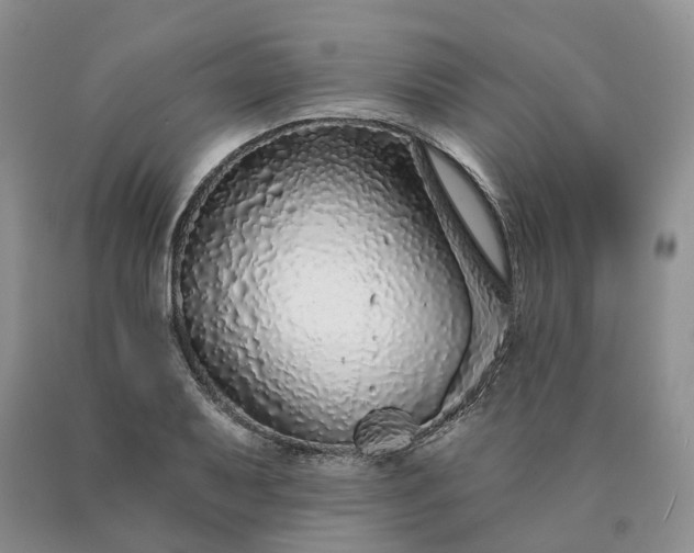 X0000090461079200707201329