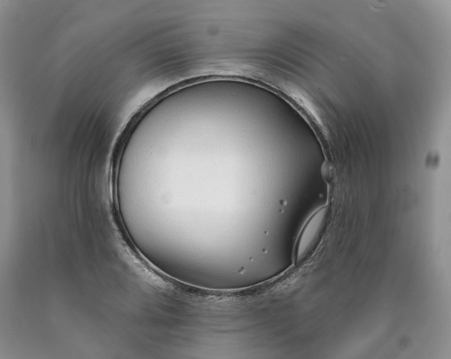 X0000090461080200707201329