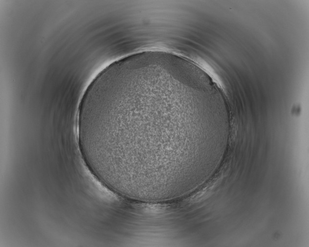 X0000090461084200707201329