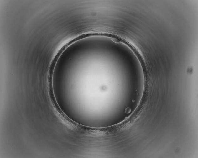 X0000090461085200707201329